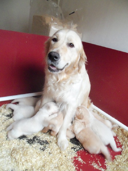 Bébés Cassie début décembre