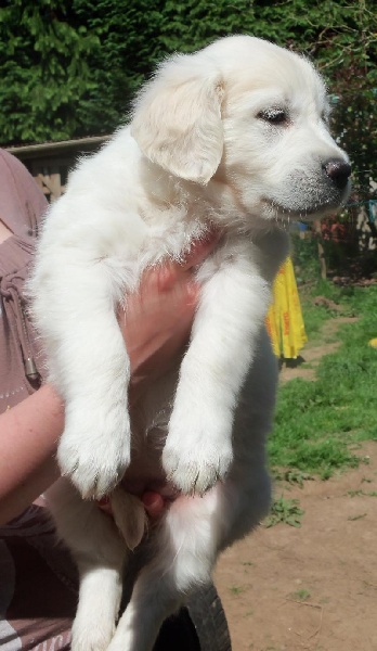 Bébés de Altaïr et Beltégeuse le 24 05 2012